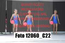 12060_C22