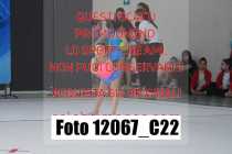 12067_C22