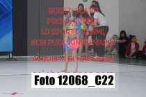 12068_C22