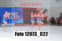 12073_C22