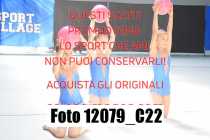 12079_C22