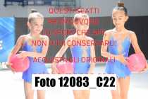 12083_C22