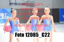 12085_C22
