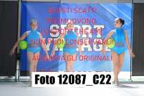 12087_C22