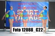 12088_C22