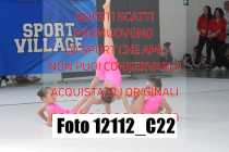 12112_C22