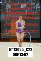 13055_C23