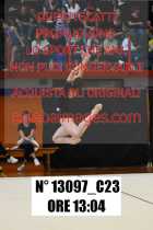13097_C23