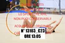 13103_C23