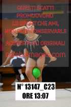 13147_C23