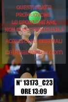 13173_C23