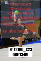 13180_C23