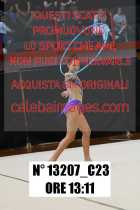 13207_C23