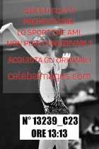 13239_C23