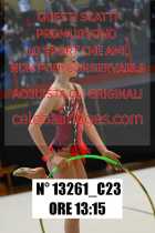 13261_C23