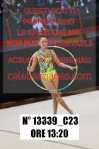 13339_C23