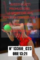 13360_C23
