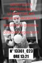 13361_C23