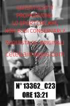 13362_C23