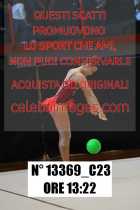 13369_C23