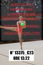 13375_C23