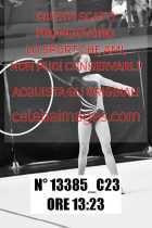13385_C23