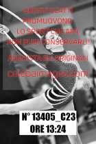 13405_C23