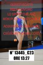 13445_C23