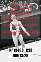 13463_C23