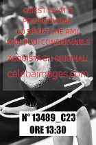 13489_C23