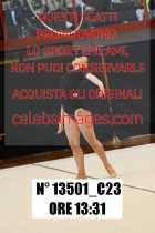 13501_C23