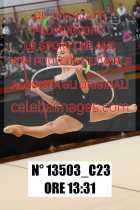 13503_C23