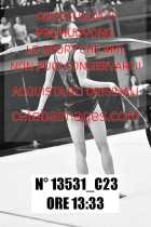 13531_C23