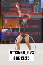 13560_C23