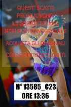 13585_C23