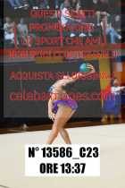 13586_C23