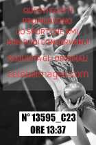 13595_C23
