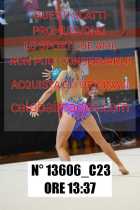13606_C23
