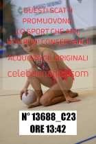 13688_C23