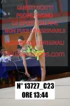 13727_C23