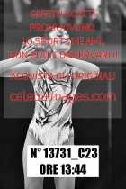 13731_C23