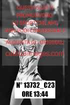 13732_C23