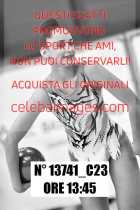 13741_C23