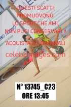 13745_C23