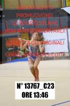 13767_C23