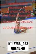 13768_C23