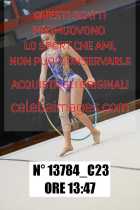 13784_C23