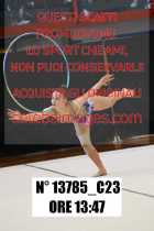13785_C23