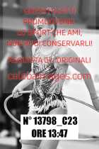 13798_C23