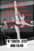 13829_C23